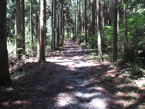 20140524hike (201)
